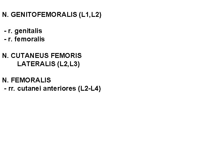 N. GENITOFEMORALIS (L 1, L 2) - r. genitalis - r. femoralis N. CUTANEUS