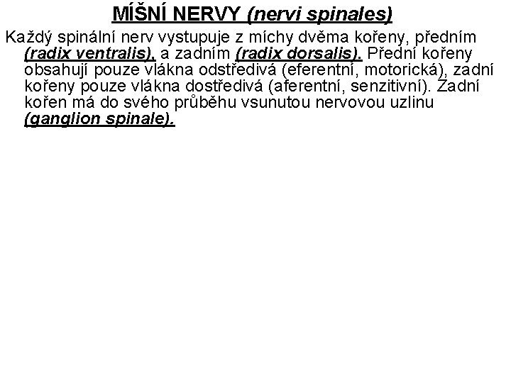 MÍŠNÍ NERVY (nervi spinales) Každý spinální nerv vystupuje z míchy dvěma kořeny, předním (radix