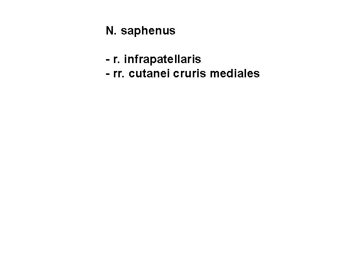 N. saphenus - r. infrapatellaris - rr. cutanei cruris mediales 