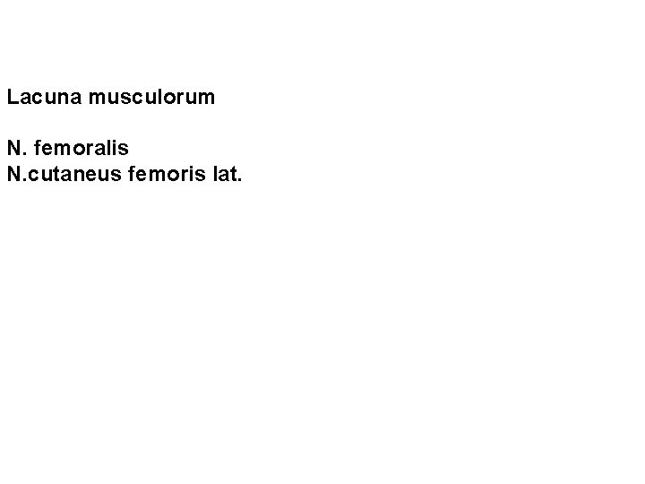 Lacuna musculorum N. femoralis N. cutaneus femoris lat. 