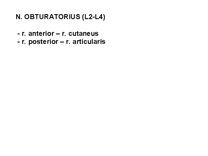 N. OBTURATORIUS (L 2 -L 4) - r. anterior – r. cutaneus - r.