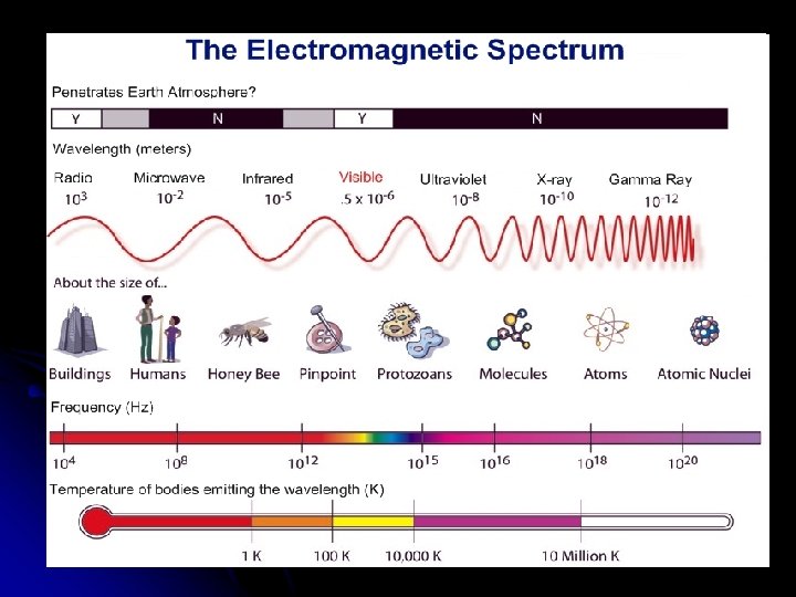 Electromagnetic waves It consists of electric and magnetic field components which oscillate in phase