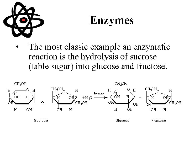 Enzymes • The most classic example an enzymatic reaction is the hydrolysis of sucrose