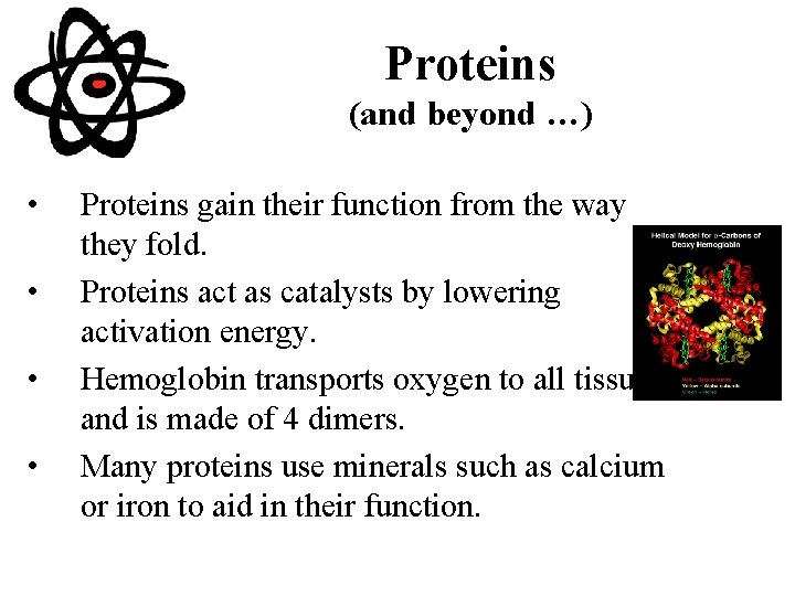 Proteins (and beyond …) • • Proteins gain their function from the way they