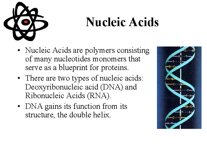 Nucleic Acids • Nucleic Acids are polymers consisting of many nucleotides monomers that serve