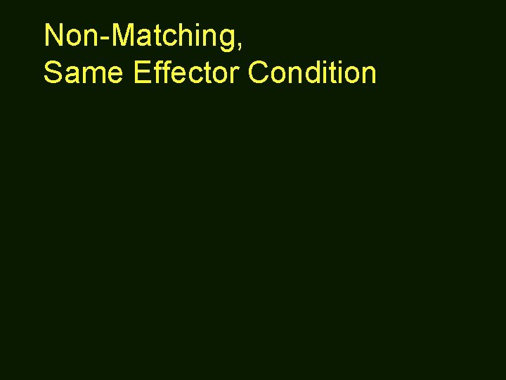Non-Matching, Same Effector Condition 