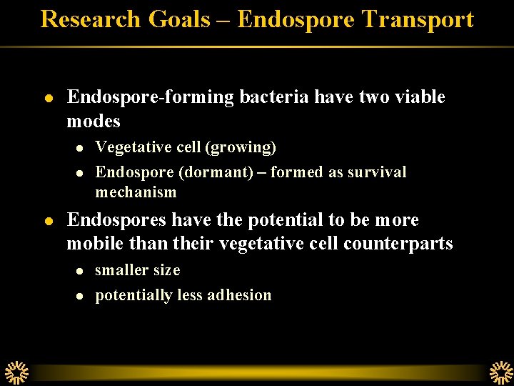 Research Goals – Endospore Transport l Endospore-forming bacteria have two viable modes l l