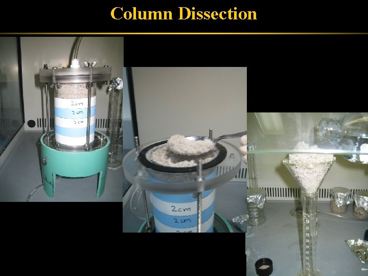 Column Dissection 
