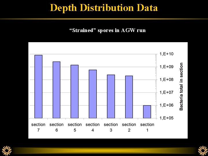 Depth Distribution Data “Strained” spores in AGW run 