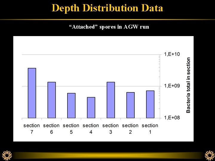 Depth Distribution Data “Attached” spores in AGW run 