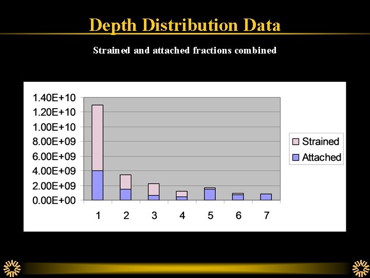 Depth Distribution Data Strained and attached fractions combined 