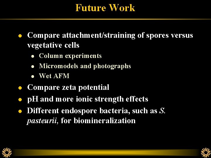 Future Work l Compare attachment/straining of spores versus vegetative cells l l l Column