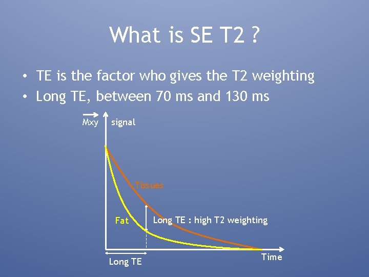 What is SE T 2 ? • TE is the factor who gives the