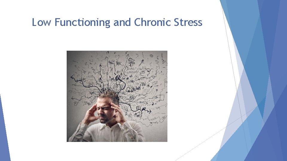 Low Functioning and Chronic Stress 