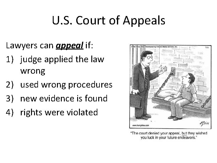 U. S. Court of Appeals Lawyers can appeal if: 1) judge applied the law