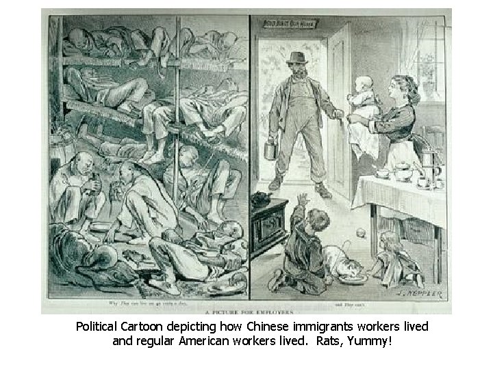 Political Cartoon depicting how Chinese immigrants workers lived and regular American workers lived. Rats,