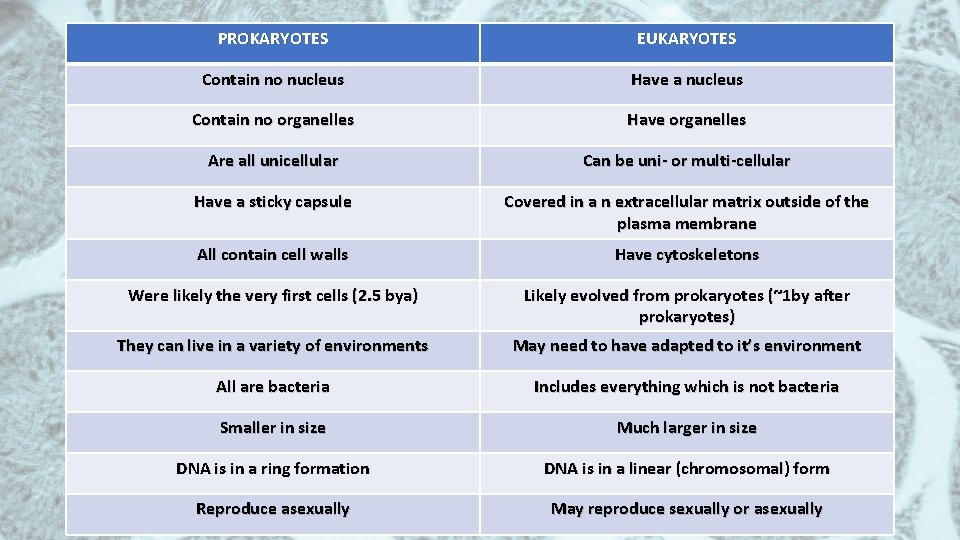 PROKARYOTES EUKARYOTES Contain no nucleus Have a nucleus Contain no organelles Have organelles Are