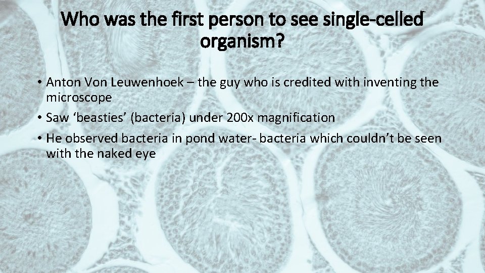 Who was the first person to see single-celled organism? • Anton Von Leuwenhoek –