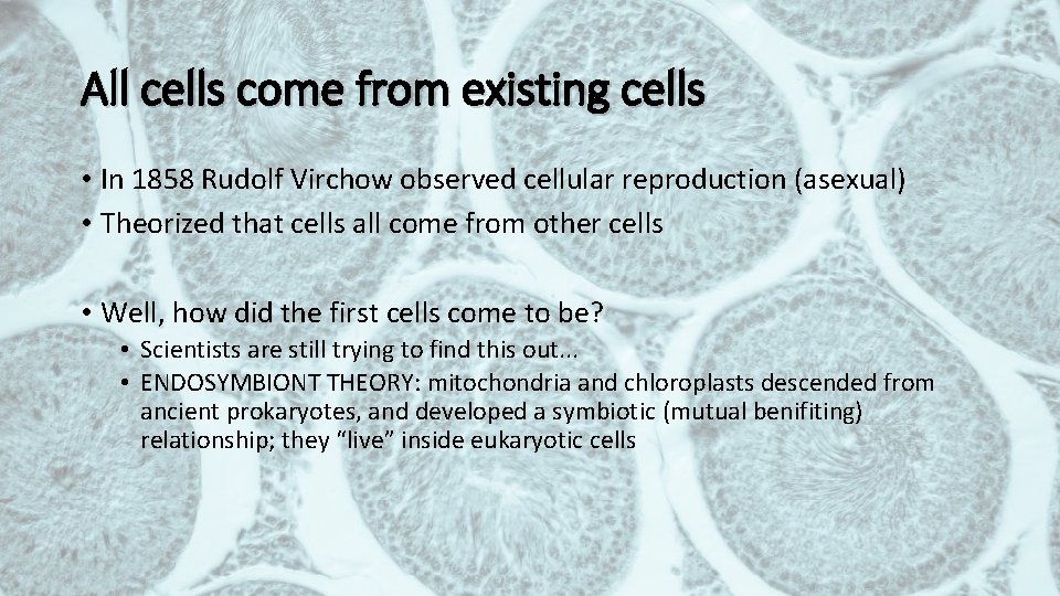 All cells come from existing cells • In 1858 Rudolf Virchow observed cellular reproduction