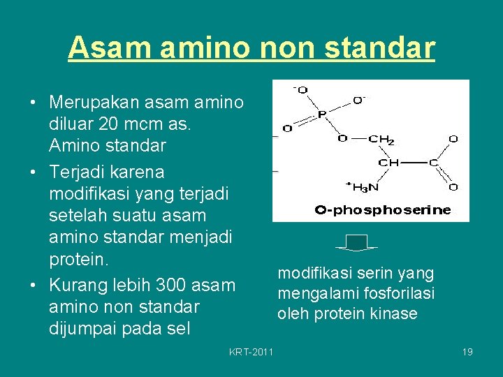 Asam amino non standar • Merupakan asam amino diluar 20 mcm as. Amino standar