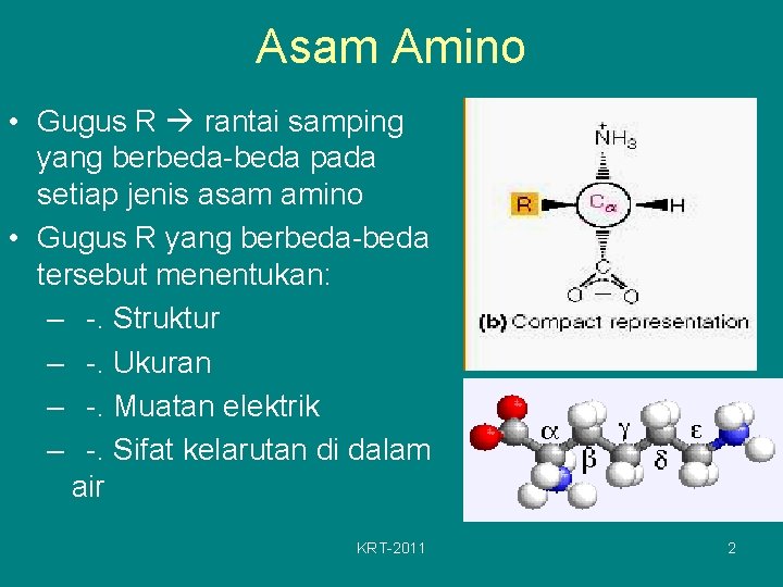 Asam Amino • Gugus R rantai samping yang berbeda-beda pada setiap jenis asam amino