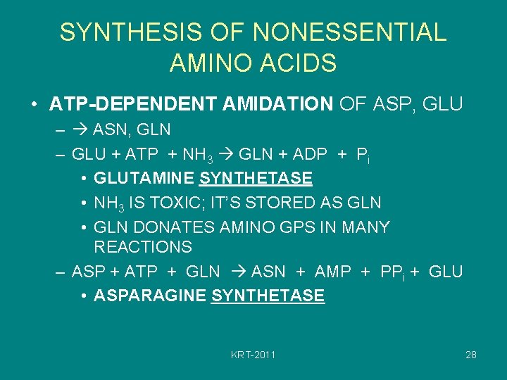 SYNTHESIS OF NONESSENTIAL AMINO ACIDS • ATP-DEPENDENT AMIDATION OF ASP, GLU – ASN, GLN