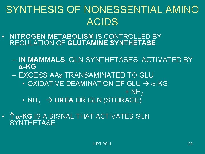 SYNTHESIS OF NONESSENTIAL AMINO ACIDS • NITROGEN METABOLISM IS CONTROLLED BY REGULATION OF GLUTAMINE