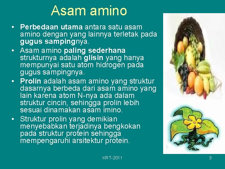 Asam amino • Perbedaan utama antara satu asam amino dengan yang lainnya terletak pada