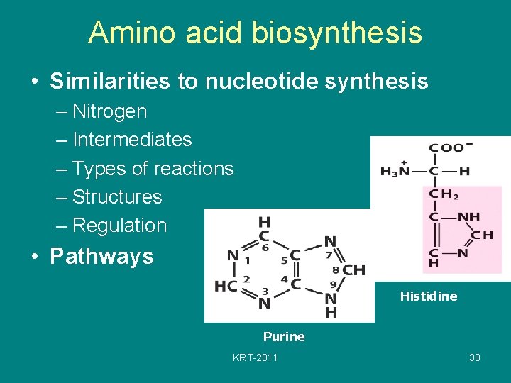 Amino acid biosynthesis • Similarities to nucleotide synthesis – Nitrogen – Intermediates – Types
