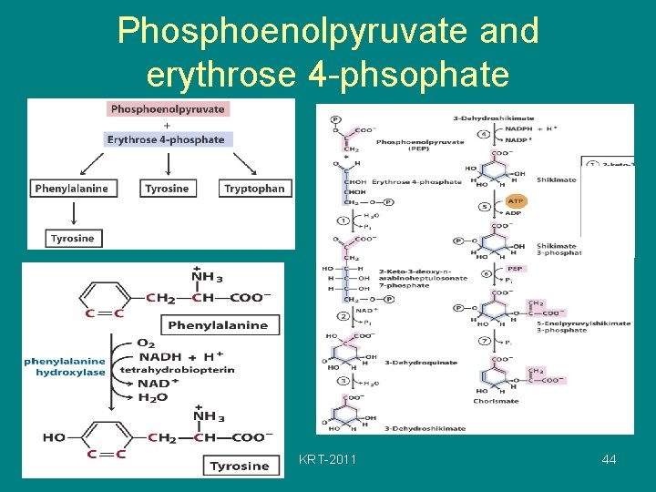 Phosphoenolpyruvate and erythrose 4 -phsophate KRT-2011 44 