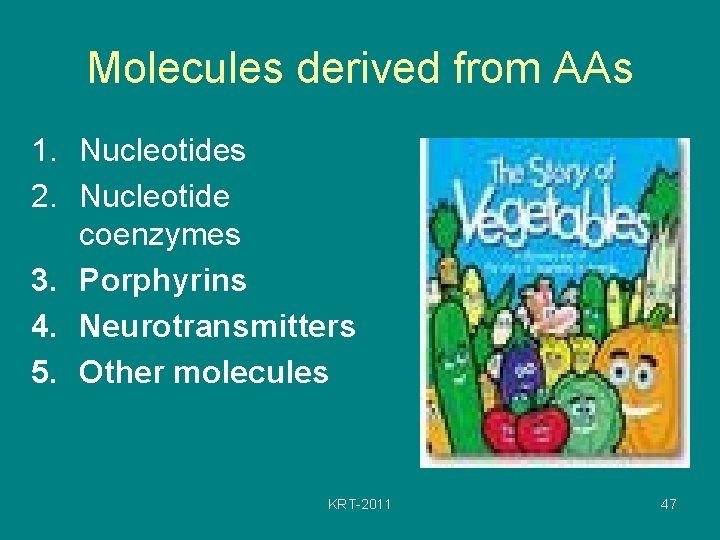 Molecules derived from AAs 1. Nucleotides 2. Nucleotide coenzymes 3. Porphyrins 4. Neurotransmitters 5.