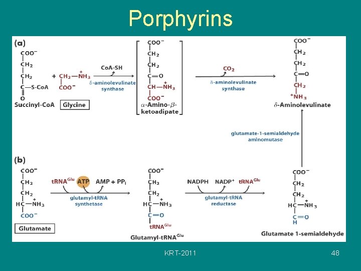 Porphyrins KRT-2011 48 