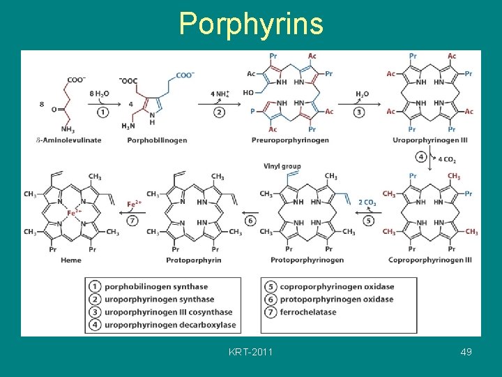 Porphyrins KRT-2011 49 