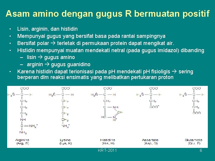 Asam amino dengan gugus R bermuatan positif • • • Lisin, arginin, dan histidin