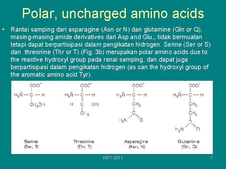 Polar, uncharged amino acids • Rantai samping dari asparagine (Asn or N) dan glutamine