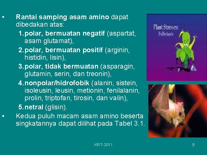  • • Rantai samping asam amino dapat dibedakan atas: 1. polar, bermuatan negatif