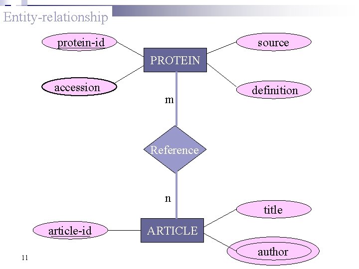 Entity-relationship source protein-id PROTEIN accession m definition Reference n article-id 11 title ARTICLE author