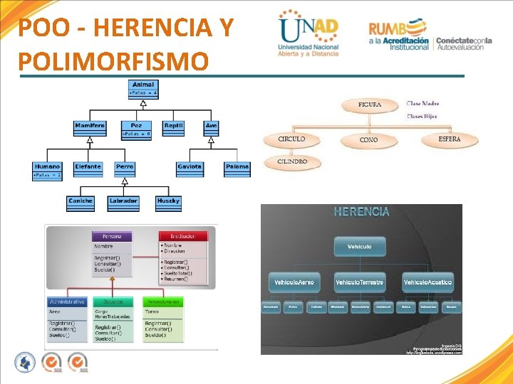 POO - HERENCIA Y POLIMORFISMO 