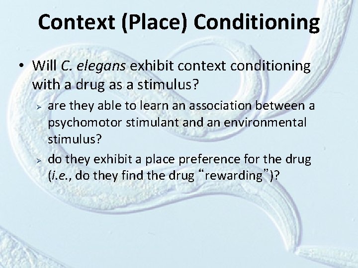 Context (Place) Conditioning • Will C. elegans exhibit context conditioning with a drug as