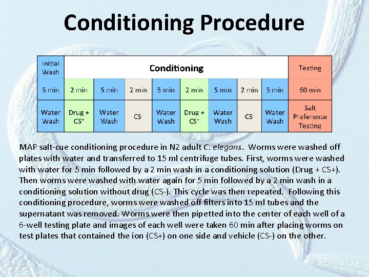 Conditioning Procedure MAP salt-cue conditioning procedure in N 2 adult C. elegans. Worms were