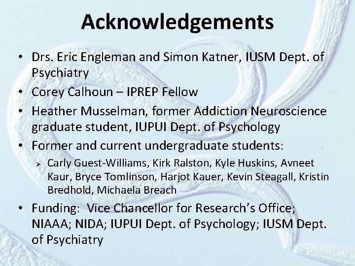 Acknowledgements • Drs. Eric Engleman and Simon Katner, IUSM Dept. of Psychiatry • Corey