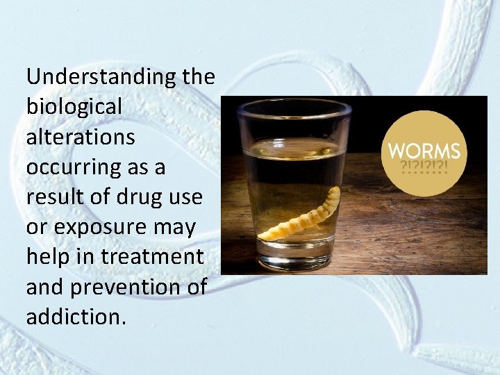 Understanding the biological alterations occurring as a result of drug use or exposure may