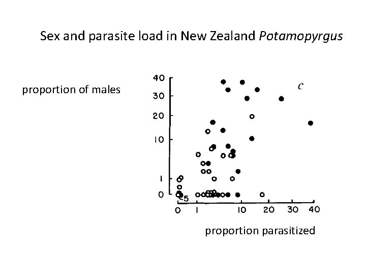  Sex and parasite load in New Zealand Potamopyrgus proportion of males proportion parasitized