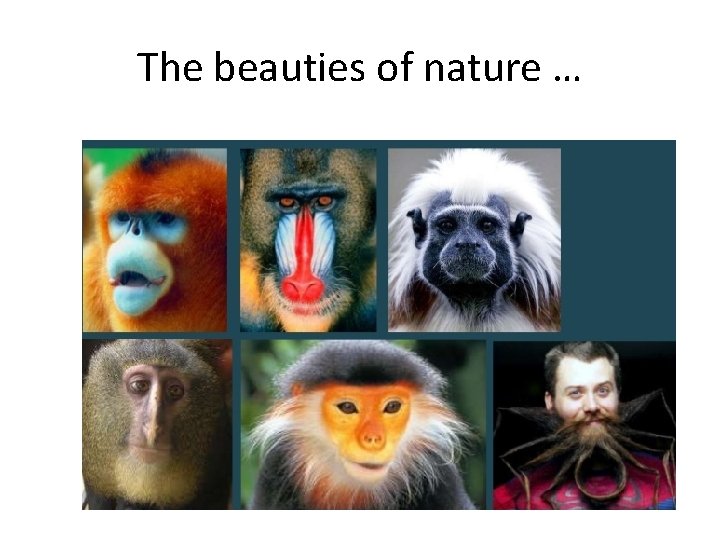 The beauties of nature … 