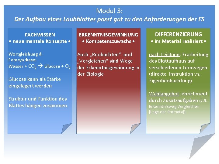 Modul 3: Der Aufbau eines Laubblattes passt gut zu den Anforderungen der FS FACHWISSEN