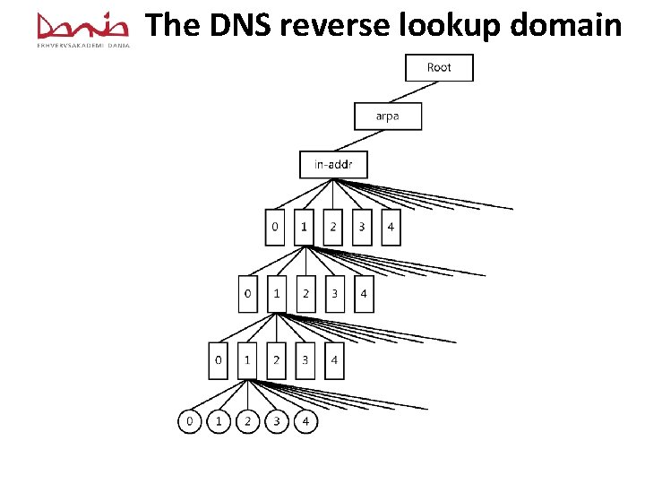 The DNS reverse lookup domain 