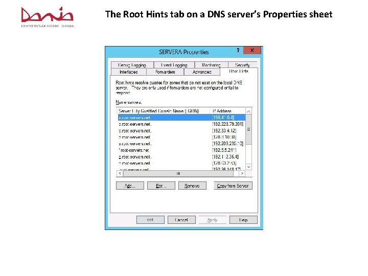 The Root Hints tab on a DNS server’s Properties sheet 