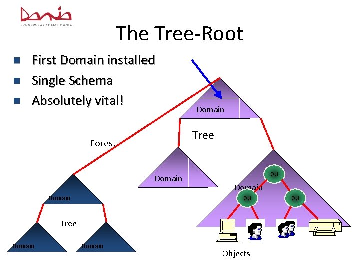 The Tree-Root n n n First Domain installed Single Schema Absolutely vital! Tree Forest