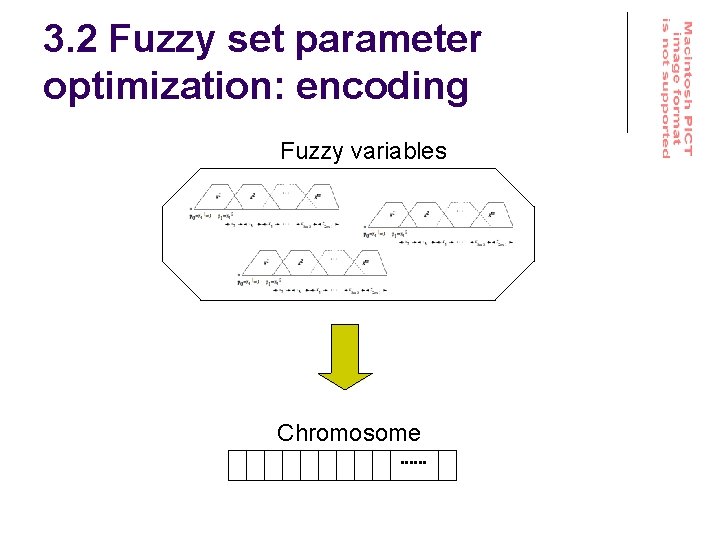 3. 2 Fuzzy set parameter optimization: encoding Fuzzy variables Chromosome 
