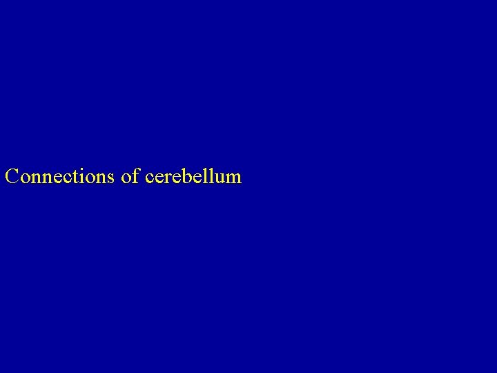 Connections of cerebellum 